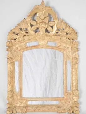 Louis XIV Style Gilded Parclose Mirror w/ Floral and Foliate Motifs